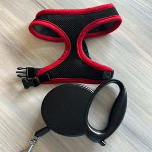 Small Dog Halter and 13ft Retractable Lead